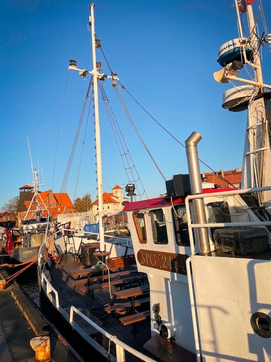 Eine Frau an Deck eines weißen Passagierschiffs, das im Hafen von Hel festgemacht ist, im Hintergrund sind andere Schiffe und Backsteingebäude zu sehen.