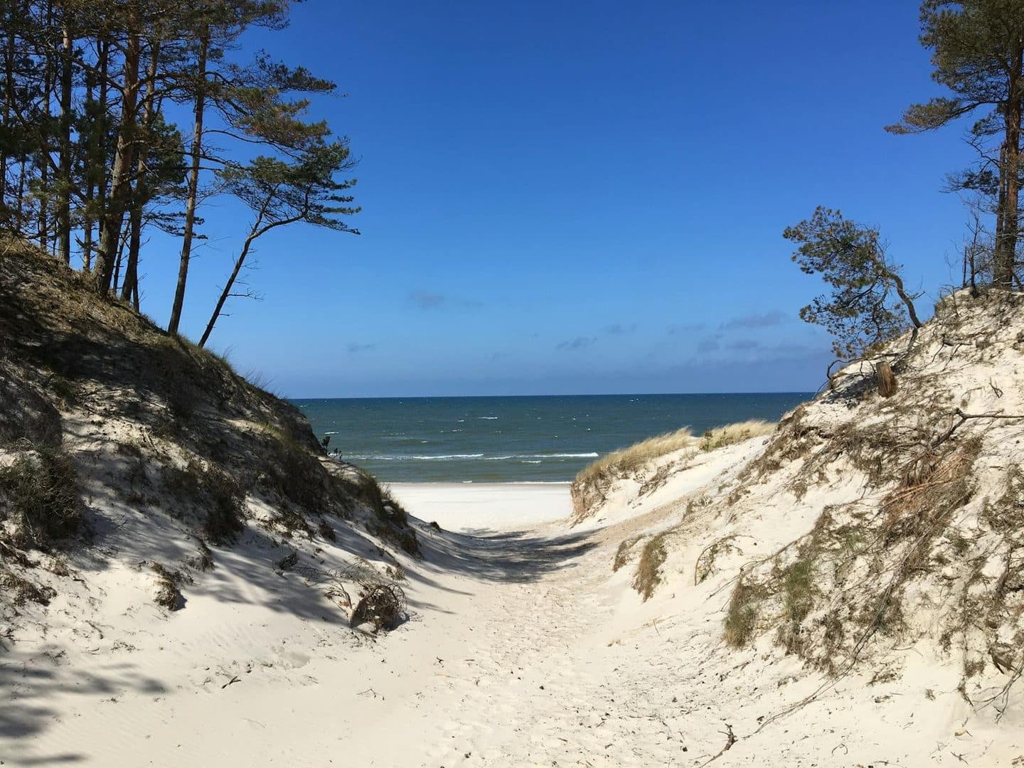 Baltic beach with light sand and dune grass - an example of a safe family bathing spot on the Polish coast.